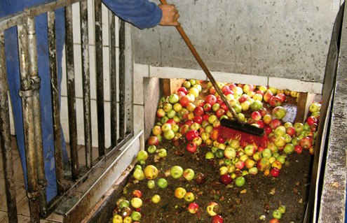 Obst wird gewaschen